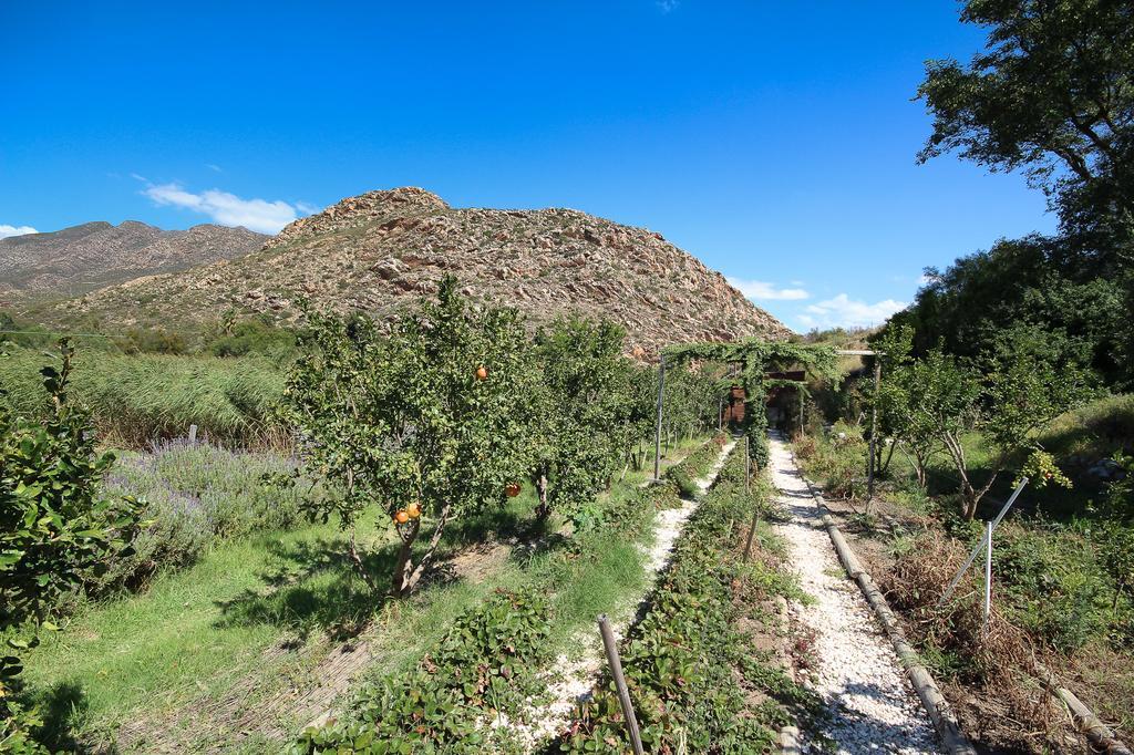 Kogman & Keisie Guest Farm Farm stay