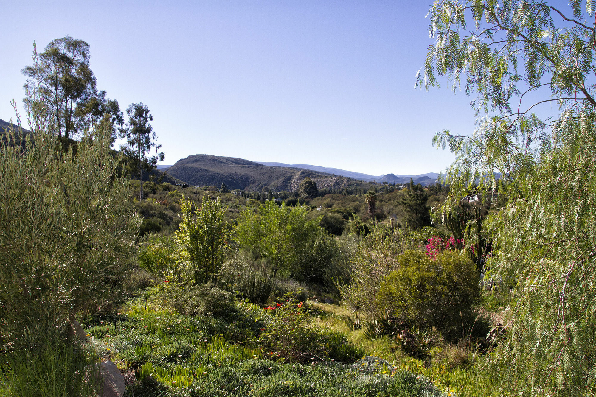Farm stay Kogman & Keisie Guest Farm Montagu